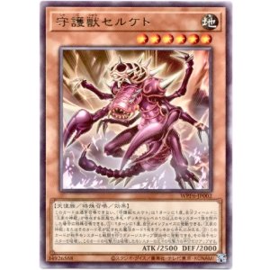 画像: 【レア】守護獣セルケト