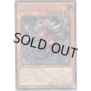 画像: 【シークレット】守護獣セルケト