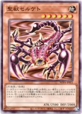 画像: 【ノーマル】聖獣セルケト