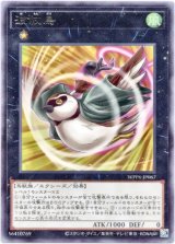 画像: 【レア】波紋鳥