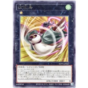 画像: 【レア】波紋鳥