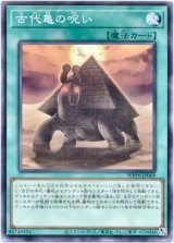 画像: 【ノーマル】古代亀の呪い