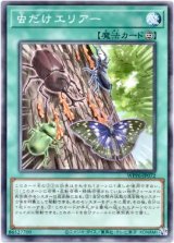 画像: 【ノーマル】虫だけエリアー