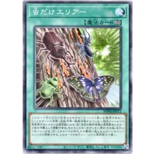 画像: 【ノーマル】虫だけエリアー