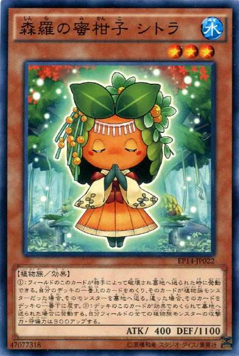 画像1: 【ノーマル】森羅の蜜柑子 シトラ (1)