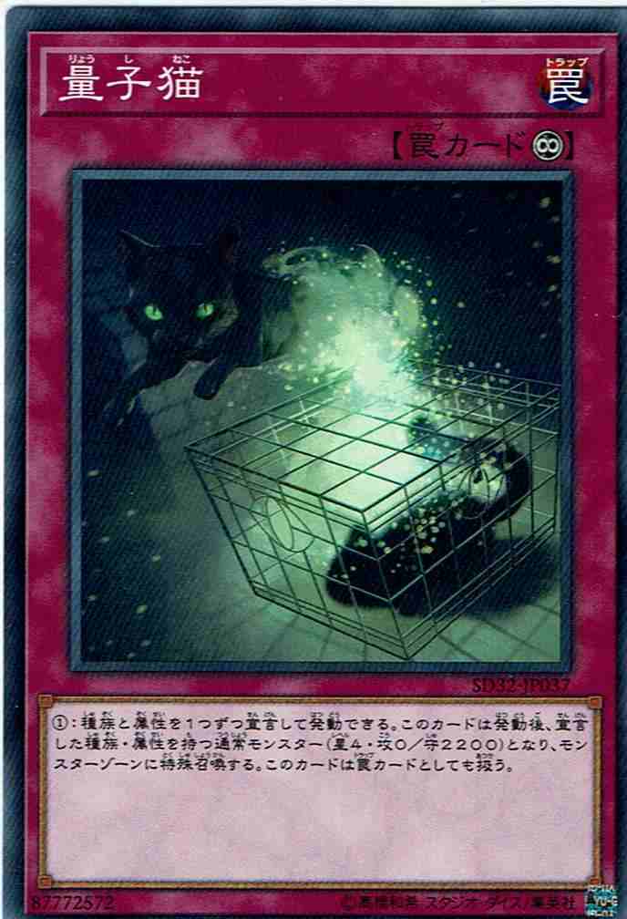 画像1: 【ノーマル】量子猫 (1)