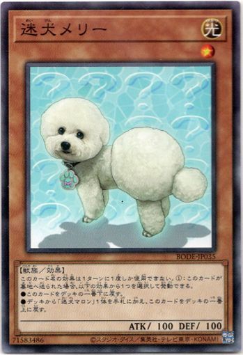画像1: 【ノーマルレア】迷犬メリー (1)