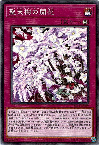 画像1: 【ノーマル】聖天樹の開花 (1)